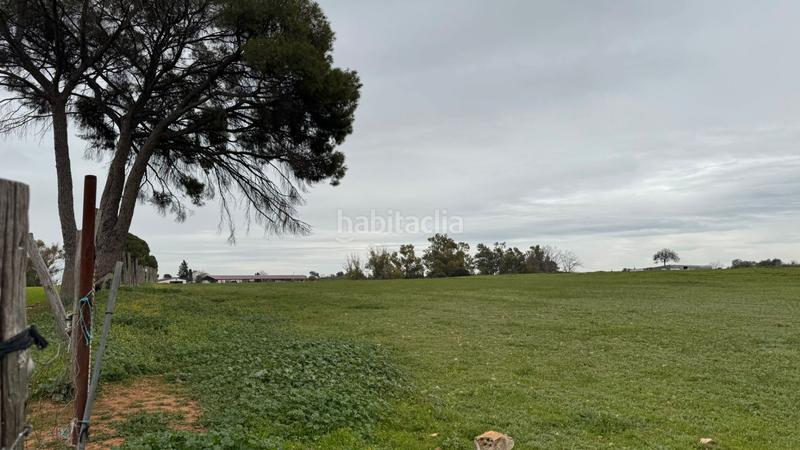 Foto 34eda749-3093-48b8-a221-47d172fa4a27. Finca rústica a Carmona