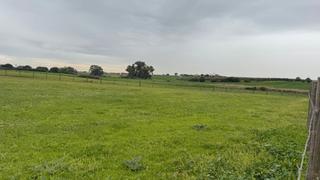 Propriété  Urbanización nietos 1. Venta de finca en sevilla: matamoros – carmona