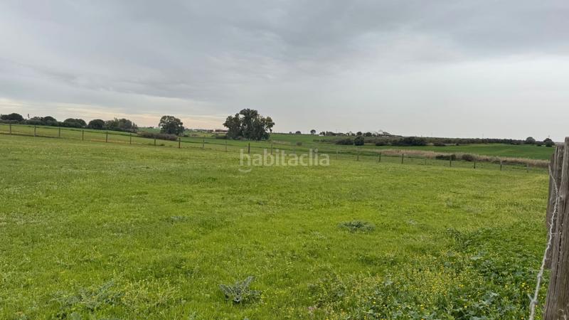 Foto dbe9dd6f-9cfd-48aa-a4b1-fa75f9b343fc. Finca rústica a Carmona