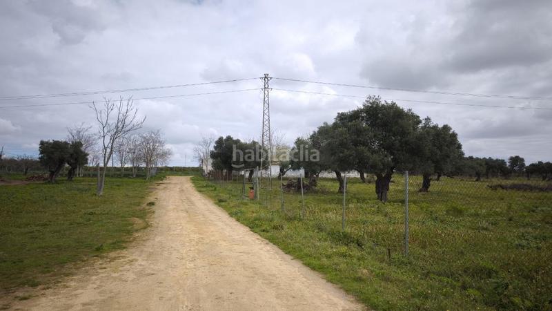 Foto 16c4b71b-2205-4cfc-af42-6e7625c335aa. Finca rústica a Arco Norte - Avda España Dos Hermanas