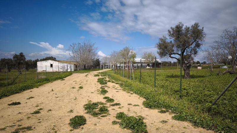 Foto 861e5f3c-e902-4605-9bdf-03553f48d001. Finca rústica a Arco Norte - Avda España Dos Hermanas