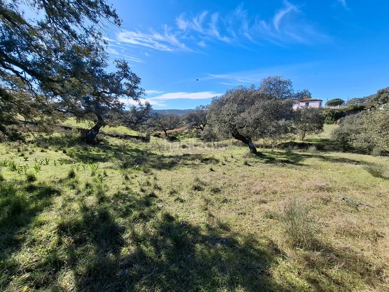 Foto b2494097-2e10-4d4c-bdda-7a07960a457e. Terreny residencial a Castillo de las Guardas (El)