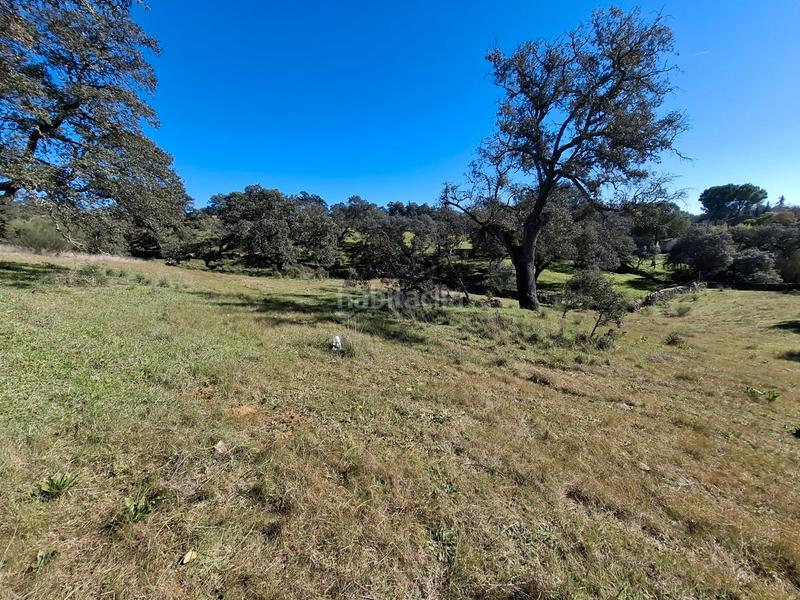 Foto c6d133db-68a8-4de4-894e-d031bc32269c. Terreny residencial a Castillo de las Guardas (El)