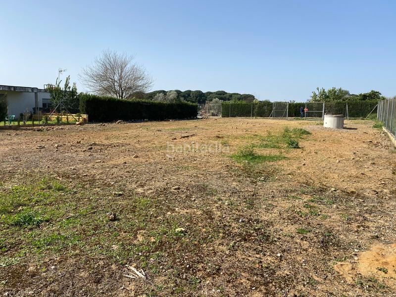 Foto 7243a6a0-f1c3-442e-ab13-8f3ffdc36ca9. Xalet amb aparcament a Arahal