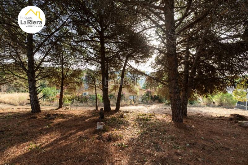 Foto 29e78b6f-d180-4ecd-9e94-16827cb2d420. Wohngrundstück in Urbanitzacions Arenys de Mar