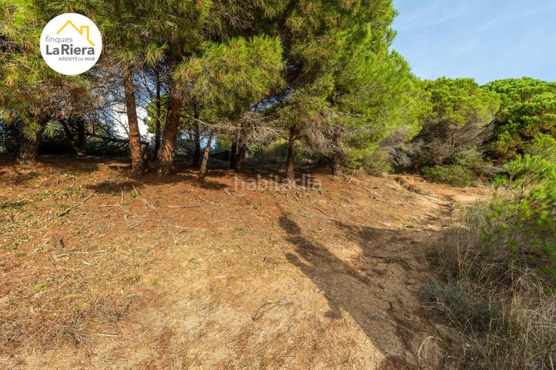 Foto 4c763dd3-dc46-4e9b-9bbf-dc2a44332710. Wohngrundstück in Urbanitzacions Arenys de Mar