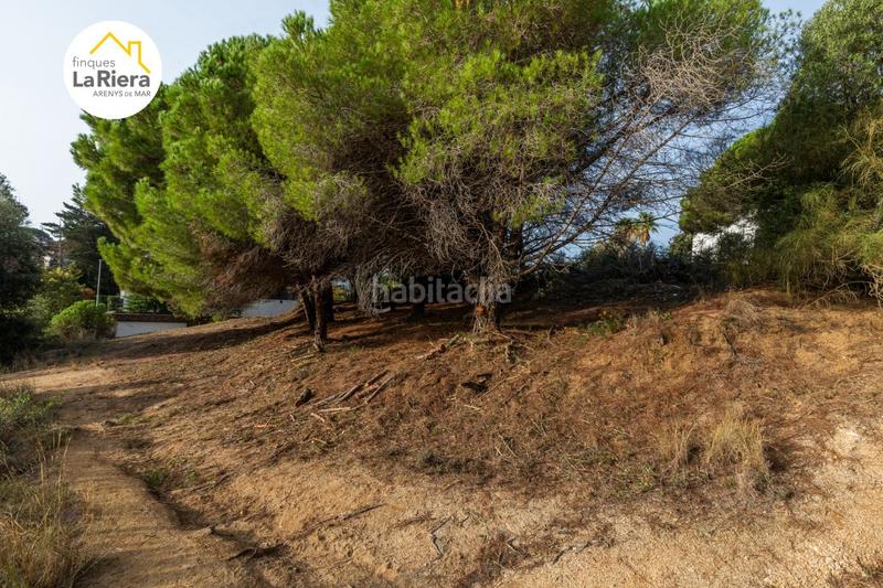 Foto 5f3a11b4-7a3b-4fa4-96d9-f0e505ea98d1. Wohngrundstück in Urbanitzacions Arenys de Mar