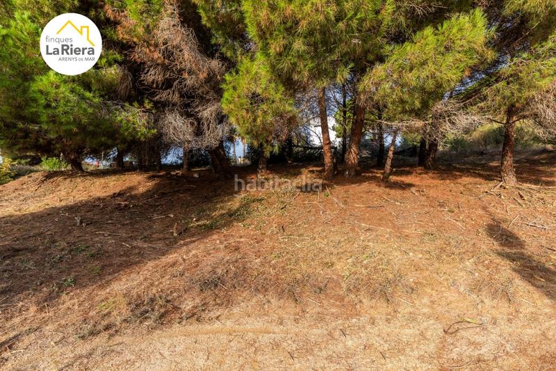 Foto cb537825-ba28-409d-ba57-947a53a02547. Wohngrundstück in Urbanitzacions Arenys de Mar