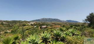 Terreny residencial  El campillo. Mijas costaterreno