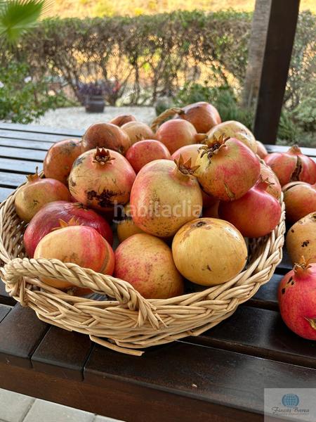 Foto 85651488-8fdf-4190-9781-8f33eb22e869. Country house with pool in Valtocado - La Alquería - La Atalaya Mijas