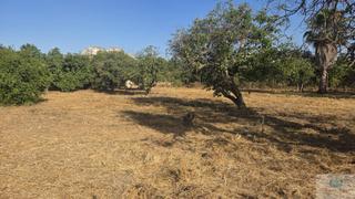 Terreny residencial a Viejo de coin. Mijasterreno