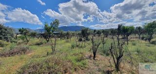Residential Plot in Alquería-Torrealquería. Alhaurín de la torreterreno