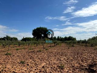 Propriété  Poligono 13. Terreno de regadío en venta