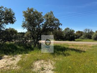 Terrain résidentiel à De las acacias 249. Terreno en venta en reguerones