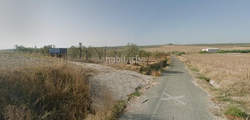 Foto a0be483c-75a7-49d5-addb-bd335a5310c2. Finca rústica se vende finca rustica en camino las melgarejas en Salteras
