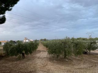 Finca rústica a Salteras. Se vende finca rústica en salteras