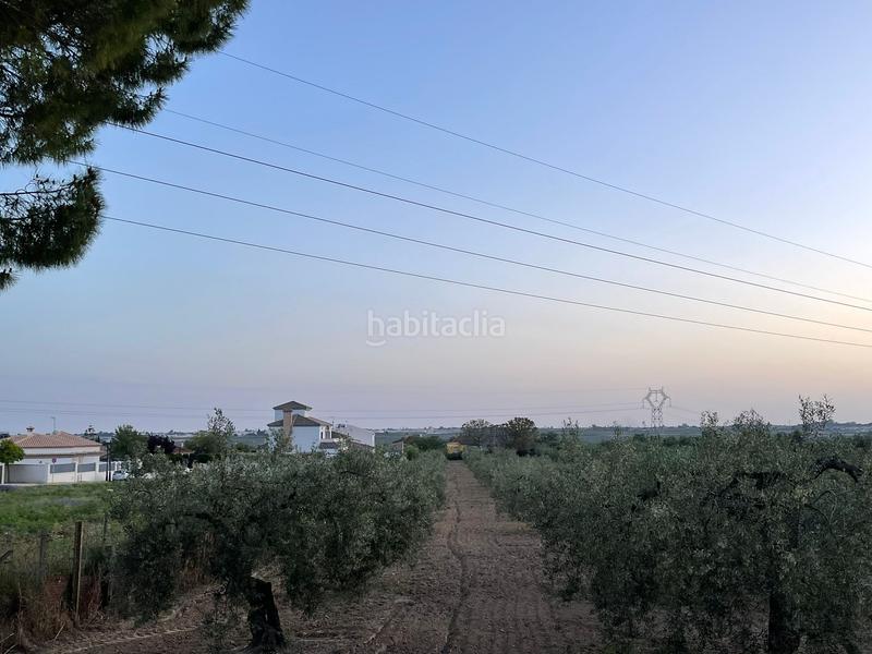 Foto 6953e413-9b0c-4609-881c-d5cd036e3958. Finca rústica se vende finca rústica en Salteras