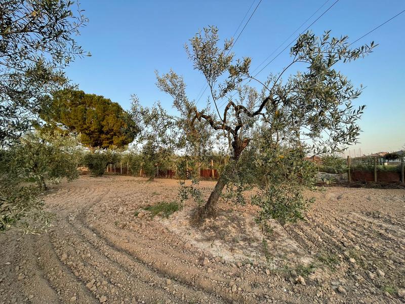 Foto 9c5a7973-8f0a-40c2-bd50-fc84d34fa792. Finca rústica se vende finca rústica en Salteras