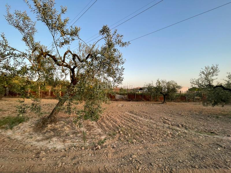 Foto c4a082fc-8189-44f9-aa7d-6ab318a9165a. Finca rústica se vende finca rústica en Salteras