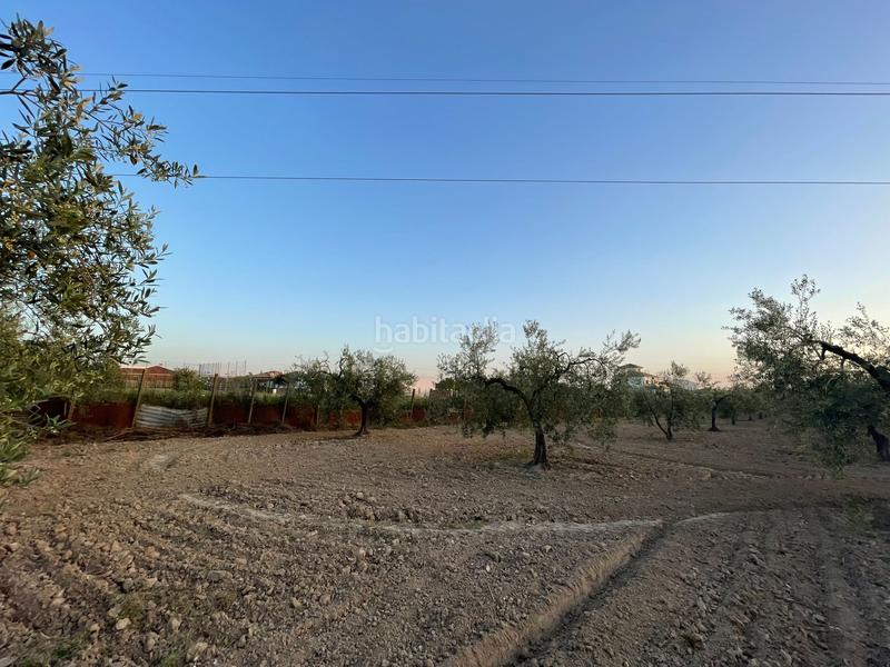Foto f29bba88-8987-4c5f-ae5f-23d64feba4b0. Finca rústica se vende finca rústica en Salteras
