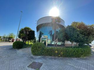 Nau industrial a Bollullos de la Mitación. Se vende o alquila nave en el poligo el pibo