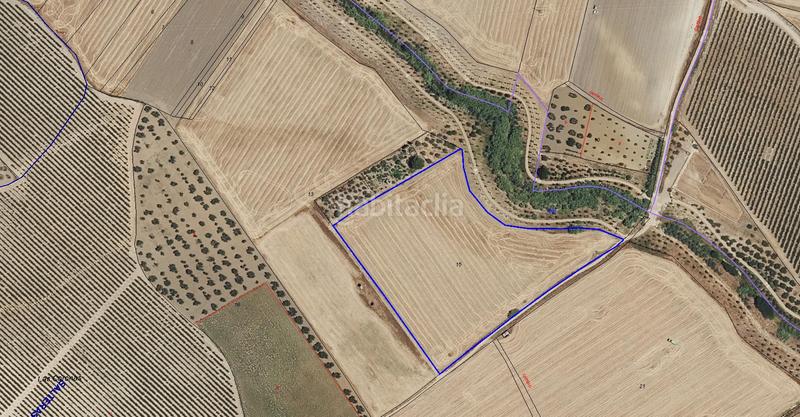 Foto c80e3f23-e505-4a7b-a2de-15fb7a567902. Finca rústica se vende finca rústica en Salteras