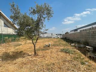 Terrain résidentiel à Palomares del Río. Se vende parcela urbana en palomares del rio