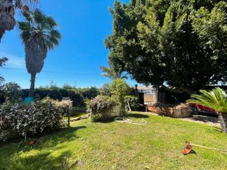 Finca rústica a Sanlúcar la Mayor. Se vende finca rustica con chalet