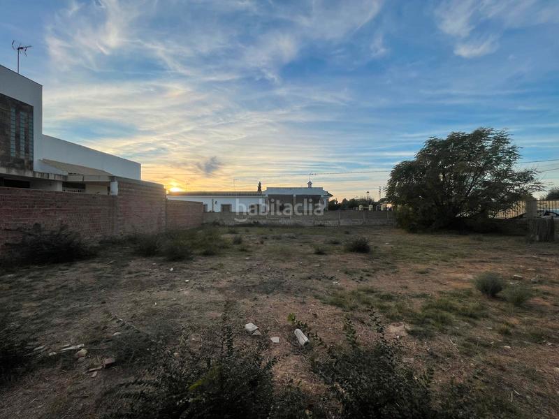 Foto 2d8982d2-5979-4485-bf18-cf8528934ddc. Terreno residencial parcela urbana en Palomares del Río