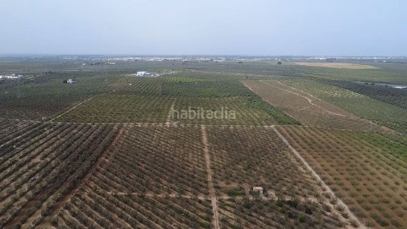 Foto a2b9d58a-20d1-4ace-9c6e-a6b25f93a8af. Finca rústica a Zona Universitaria Bormujos