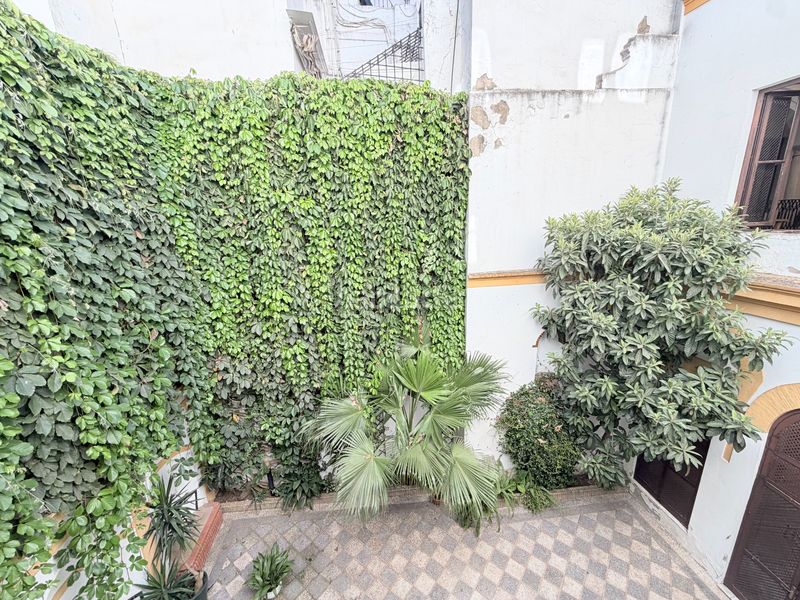 Foto 5bc21d87-697d-435b-ad0c-2a83226850fb. Pis a San Vicente Sevilla