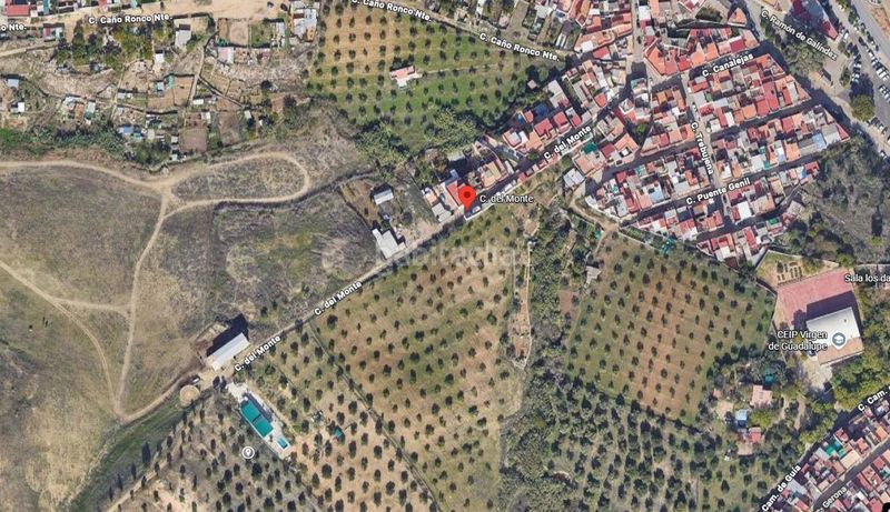 Foto e395e0dd-fac9-419e-9735-68a0957486e1. Finca rústica a Balcón de Sevilla - Atalaya - La Uva - Extremeña Camas