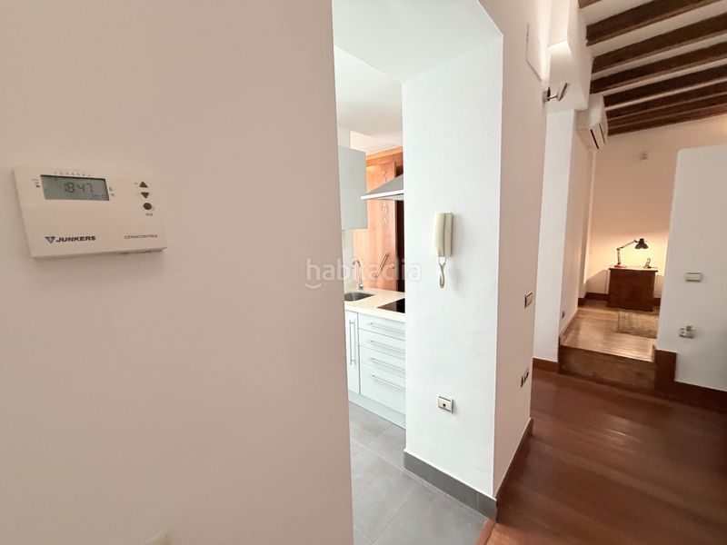 Foto b5e59bd3-b8ae-492c-a99e-43842d3feacd. Estudi a San Bartolomé Sevilla