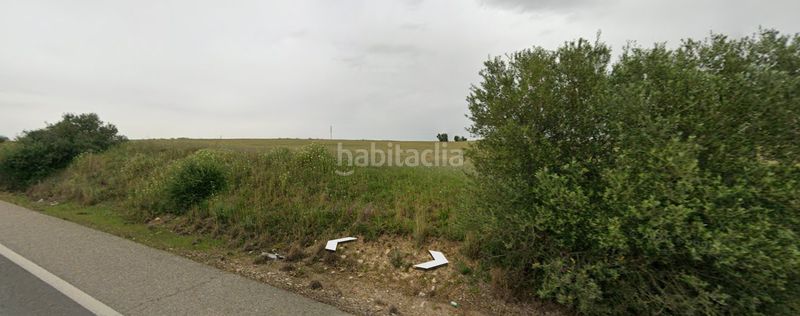 Foto 554ab030-22a1-4813-84b2-cf4a18ed818e. Finca rústica a Almonte Almonte