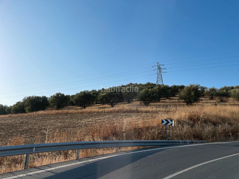 Foto 89eb594a-5abd-4428-a690-8dd95a452ce8. Finca rústica se vende finca rústica en Salteras