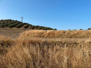 Finca rústica a Salteras. Se vende finca rústica
