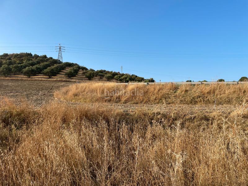 Foto f8d9218b-aae0-4916-a8fd-3fc897ba3b31. Finca rústica se vende finca rústica en Salteras