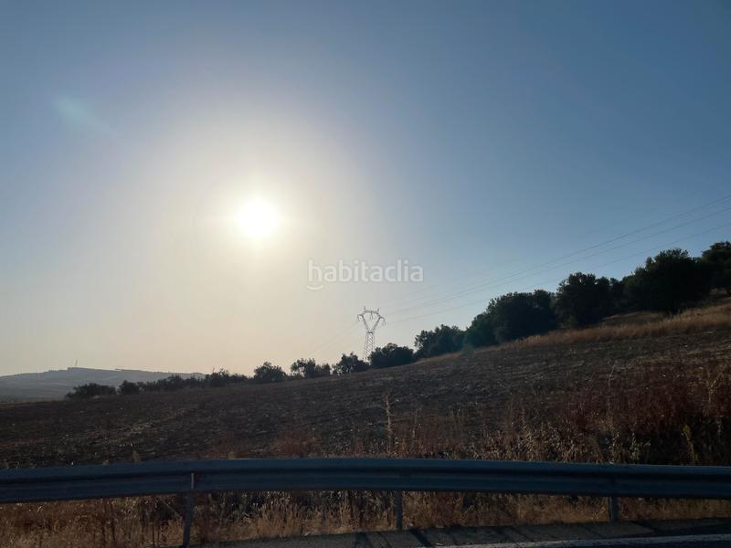 Foto feff750b-7b97-4313-8134-13cb63c1658c. Finca rústica se vende finca rústica en Salteras