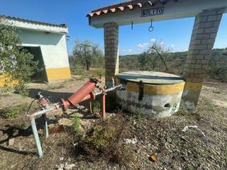 Finca rústica  Avenida de juan carlos i