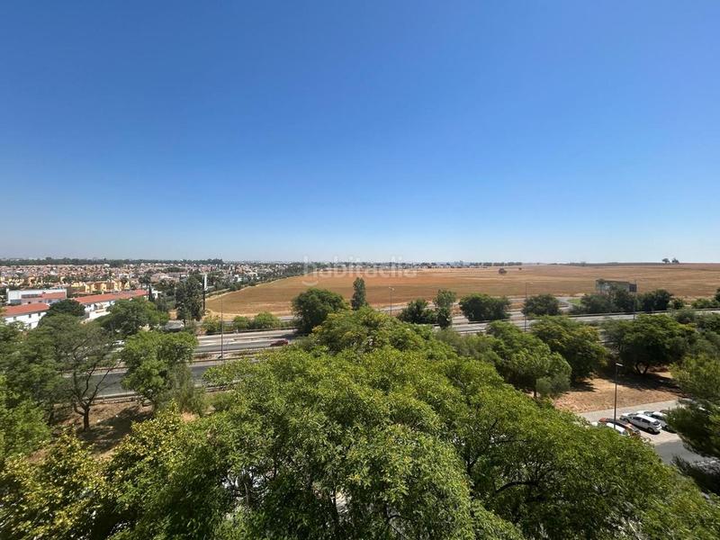 Foto 017e48b8-a7a1-4584-8035-76af8862c3ba. Location appartement dans Centro Montequinto