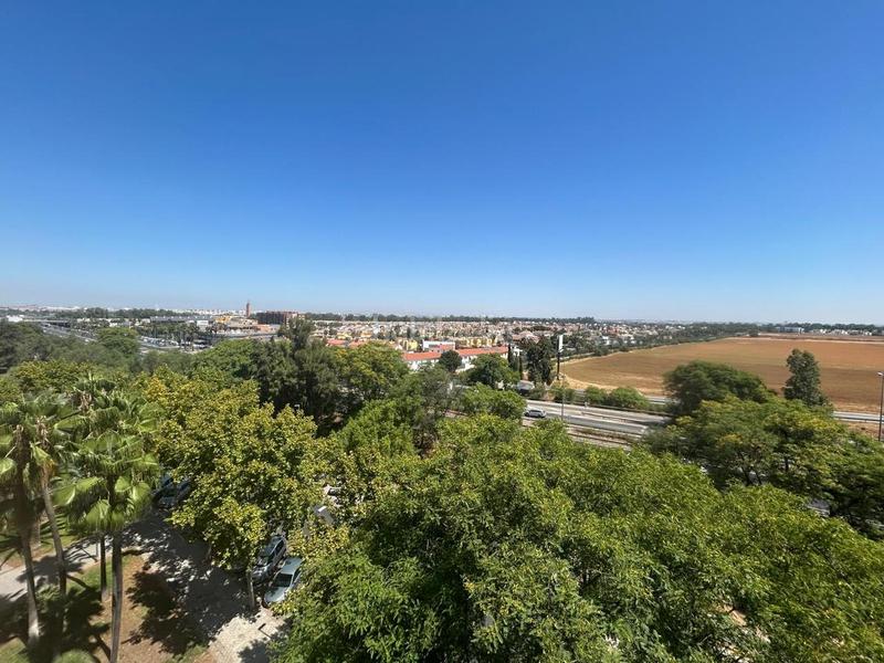 Foto 9b70b18f-188b-44b2-8bf1-789c5eca0af3. Location appartement dans Centro Montequinto