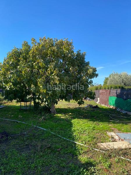 Foto 5fd10ef5-8382-445f-bd66-d9cd2fe140fd. Casa in Pedanías Norte Utrera