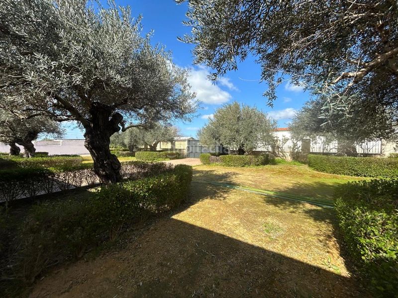 Foto 1f6a88c3-c92b-4f97-b67a-8bd9106b7d1c. Casa a La Hacienda - Nueva Andalucía Dos Hermanas