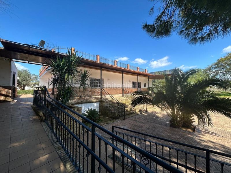 Foto 242c4686-e881-48a7-9aa4-296e92bd6d95. Casa a La Hacienda - Nueva Andalucía Dos Hermanas