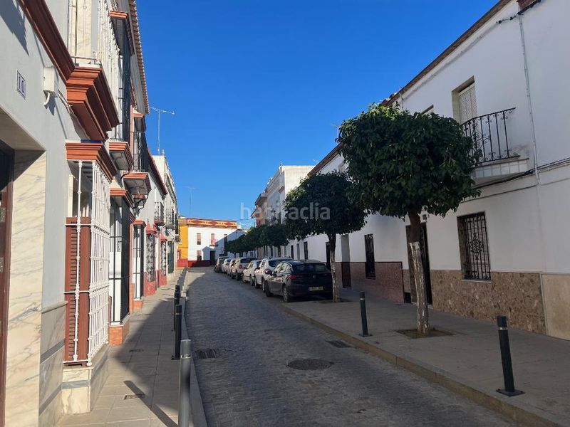 Foto ae96bef9-f046-4a5f-9754-4ca9cd253fcf. Pis a Molares (Los)