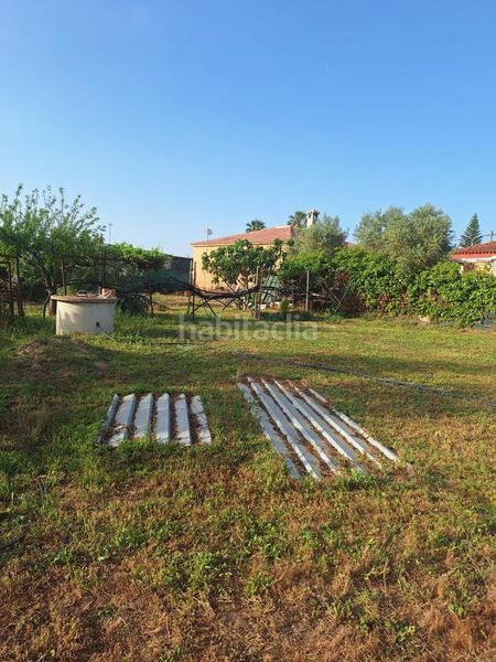 Foto 8e0a8029-02c9-486a-9c47-b96d48b673b2. Finca rústica en Pedanías Norte Utrera