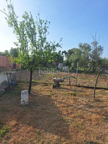Foto b453bf65-06ea-4053-863a-21bd7d874e68. Finca rústica en Pedanías Norte Utrera