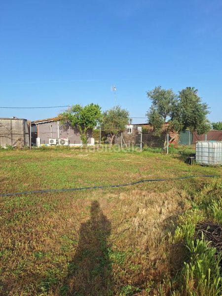 Foto c47672cc-4a1d-4758-abac-52707a7cfee1. Finca rústica en Pedanías Norte Utrera