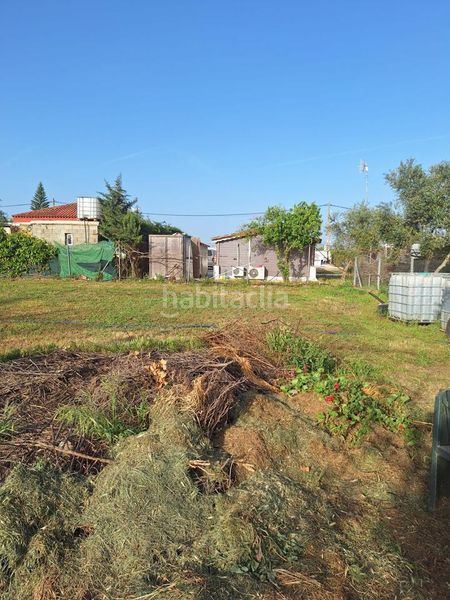Foto f103b514-7dcf-41eb-94bd-7c07c55588dc. Finca rústica en Pedanías Norte Utrera