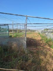 Rural plot in Pedanías Norte